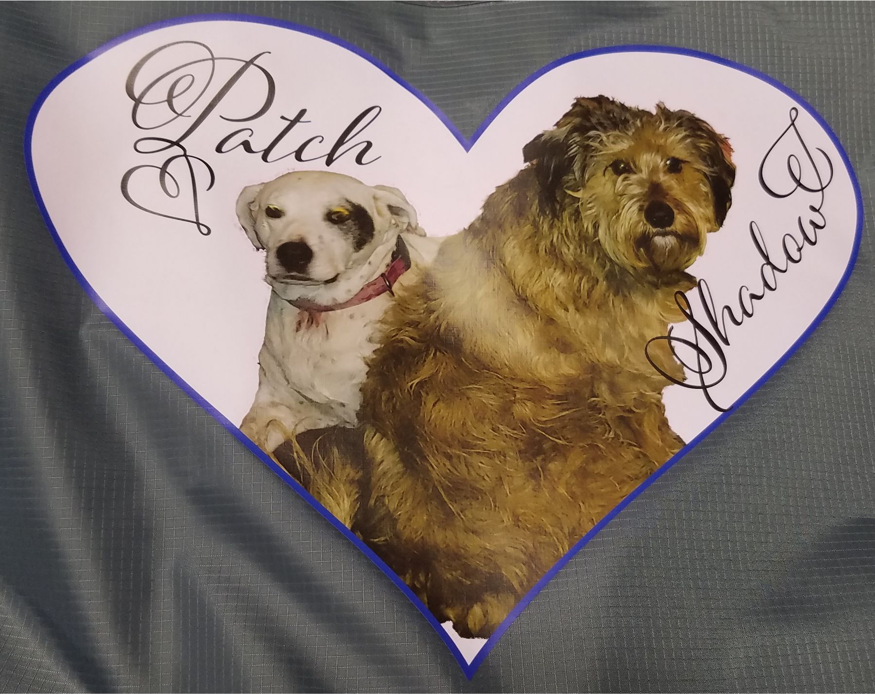 PictureOfDogsDigitalPrinted